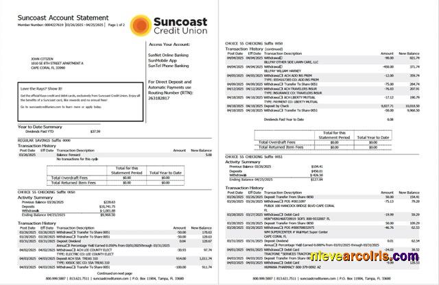 USA Suncoast Bank account statement Word and PDF, 2 pages